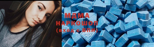 индика Богданович