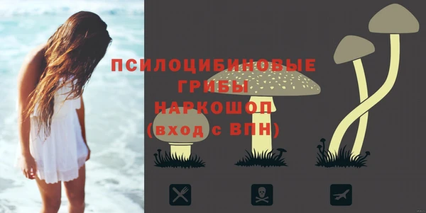 скорость Богородицк