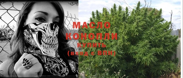 скорость Богородицк