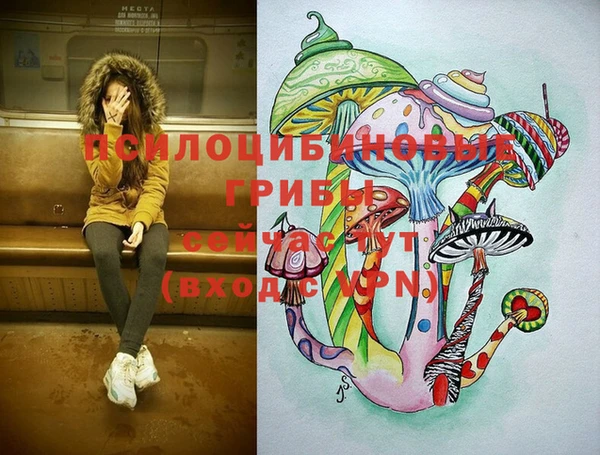 индика Богданович