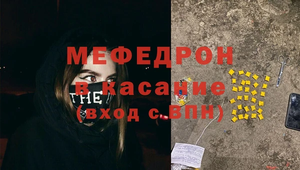 индика Богданович