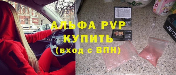 индика Богданович