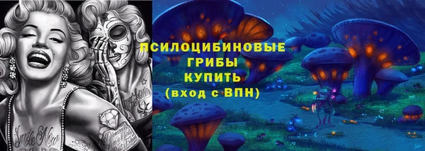 скорость Богородицк