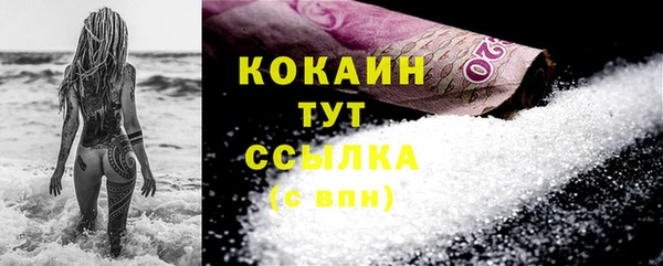 индика Богданович