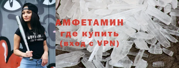 индика Богданович