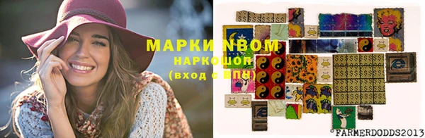 индика Богданович