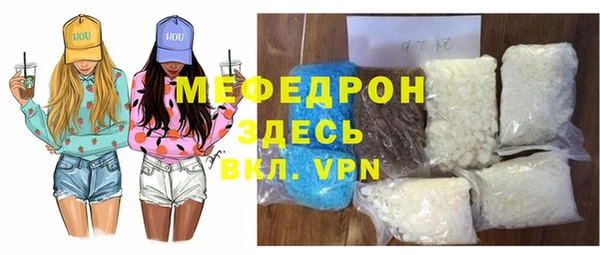индика Богданович